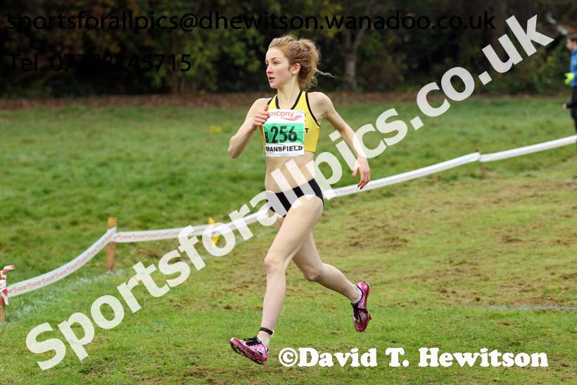 Junior women, National Cross Country Relays, Berry Park, Mansfield. Photo: David T. Hewitson/Sports for All Pics